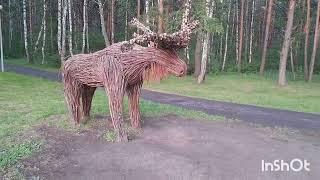 Рождённый в Тюмени. заповедник в черте города.первый город Сибири.