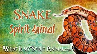 Snake Spirit Animal | Snake Totem & Power Animal | Snake Symbolism & Meanings