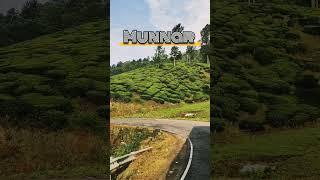 Hyderabad To Munnar Trip | Travel Guide  #munnar #keralatourism #munnartrip #vlogs