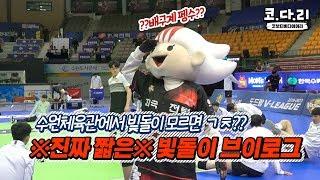 [코다리] ※진짜 짧음※ 빛돌이 브이로그