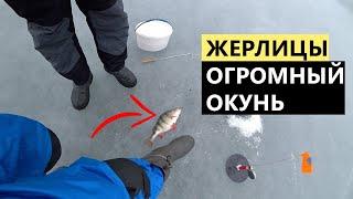 Первая рыбалка на жерлицы. ОГРОМНЫЙ ОКУНЬ. Зимняя рыбалка.
