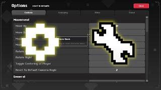 THESE are the BEST Settings in RotMG!
