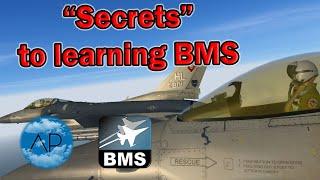 Online Mission Training BMS for Beginners | Full Online Flight Tutorial