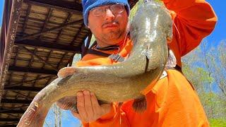 Fishing Adventure 4/6/24: Very chilly, beautiful at Crabtree Creek NC