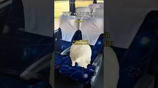 POV: vc foi viajar de ônibus parte 2 #gatosengraçados #memesgatos #onibus #meme