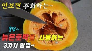 간단하고 맛있는 늙은 호박요리 3가지~ 강쉪^^ korean food recipes 3 kinds old pumpkin cooking recipes 호박조림 호박씨볶는법 호박빵