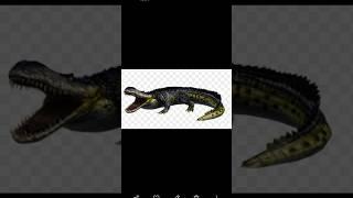 deinosuchus vs purussaurus