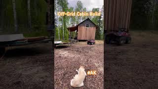 Bunkhouse cabin build is OFFICIALLY UNDERWAY     #alaska #cabin #offgrid #build #diy #tinyhouse