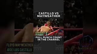 Castillo vs Mayweather (landed punches count)