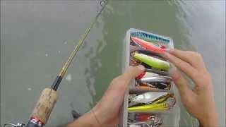 Rapala Flat Rap FLR10  for River Seabass