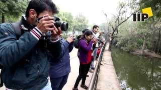 IIPian Practicing Wildlife Photography at the Delhi Zoo.