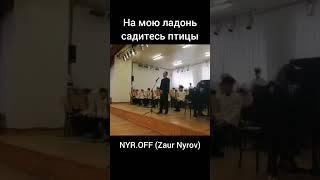 Заур Ныров - На мою ладонь садитесь птицы | NYR.OFF