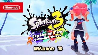 The Splatoon 3 DLC We Needed...