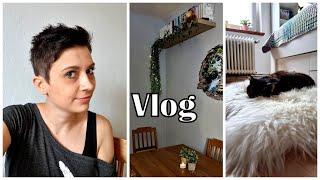 NEUES WOHNZIMMER  | Totales Renovierungschaos  // Vlog