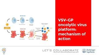 VSV-GP oncolytic virus platform: mechanism of action