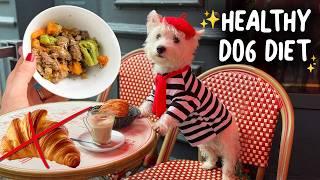 What I Feed My DOG When Traveling |  No Croissants, Just Healthy Home Cooking!