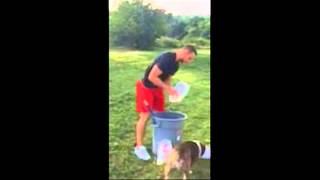 Gregory Campbell does the ice bucket challenge