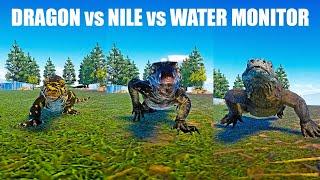 Komodo Dragon vs Nile Monitor vs Asian Water Monitor Speed Race in Planet Zoo