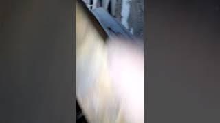 Хочу порукоблудить, дайте совет!