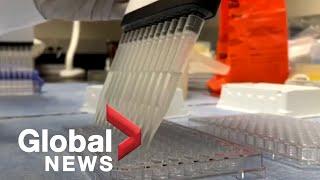 Coronavirus: Canada to see 1st vaccine doses in January, provinces to handle distribution