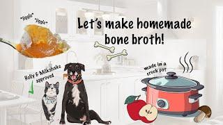 I made homemade bone broth for my pets! 