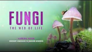 FUNGI IMAX movie - narrated by Björk, presented by Merlin Sheldrake, time-lapses by Planet Fungi.