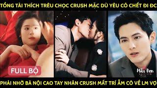 Tổng Tài Thích Trêu Crush Mặc Dù Yêu Cô Chết Đi Đc Phải Nhờ Bà Nội Nhân Crush Mất Trí Ẵm Cô Về Lm Vợ