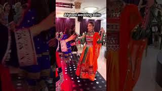 Afghan Wedding Highlights | A Journey of Love & Tradition #AfghanWeddingVibes #NikkahCeremony