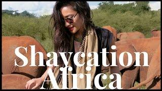 Adventures in Africa | Shaycation Africa