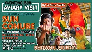 SUN CONURE & THE BABY PARROTS | BEST BREEDING CAGE FOR PARROTS | AVIARY VISIT WITH RHOWNEL PINEDA