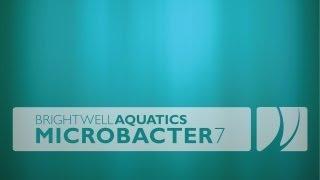 Brightwell Aquatics MicroBacter7 (Thumbs up!)