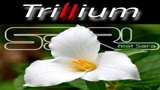 Trillium - S3RL feat Sara