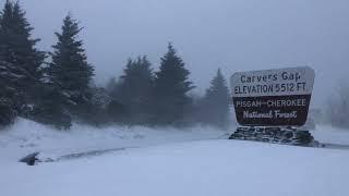 Blizzard Conditions on Roan Mountain - January 3, 2022