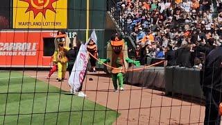 Hot Dog Race ~ Orioles - Camden Yards - April 13 2025 -  RELISH WINS!!!!