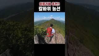도파민 한도초과 [충북 영동 백화산]