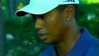 2007 Deutsche Bank golf interview - Tiger's goals