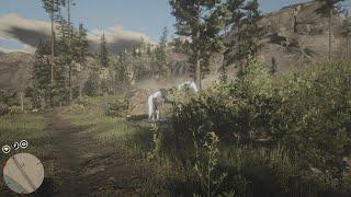 Red Dead Redemption 2 миссия Отцовство для самых глупых на золото