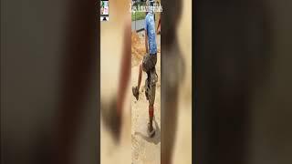 Bad Day at Work Compilation 2 #shorts Incredible Tech HD