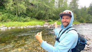 Rhythm of the River -Relaxing Fly Fishing w/ wild Trout (Catch & Release)