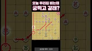 살아움직이는 장기알들