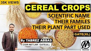 Cereal Crops - Scientific Name and Their Families & Plant Part Used || B.Sc 3rd year|| Neet || GATE