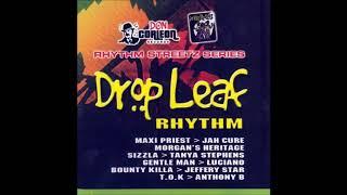 Drop Leaf Riddim Mix (2005) Jah Cure,T O K,Morgan Heritage,Sizzla,Bounty Killer,Luciano & More