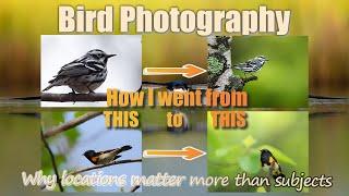 Bird Photography's Biggest Miss