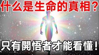 只有開悟者才能看懂的視頻！告訴你什麼是生命的真相！你開悟了嗎？