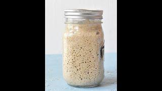 How To Make  Sourdough Starter