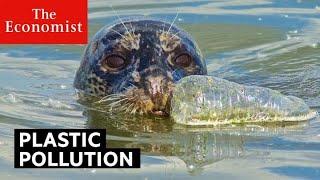 Plastic pollution: is it really that bad?