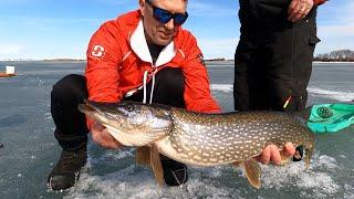 LAST Ice Fishing Pike - After a 70 degree day