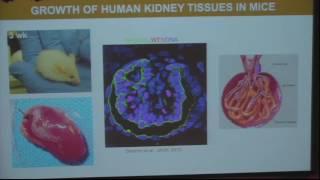 2016 Cell Science Symposium | Benjamin Freedman