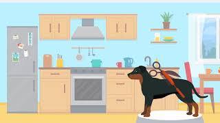 Doggle Guides - Beauceron - Dog Breed Info