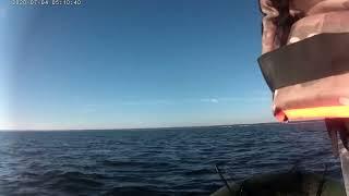Судак под Сестрорецком